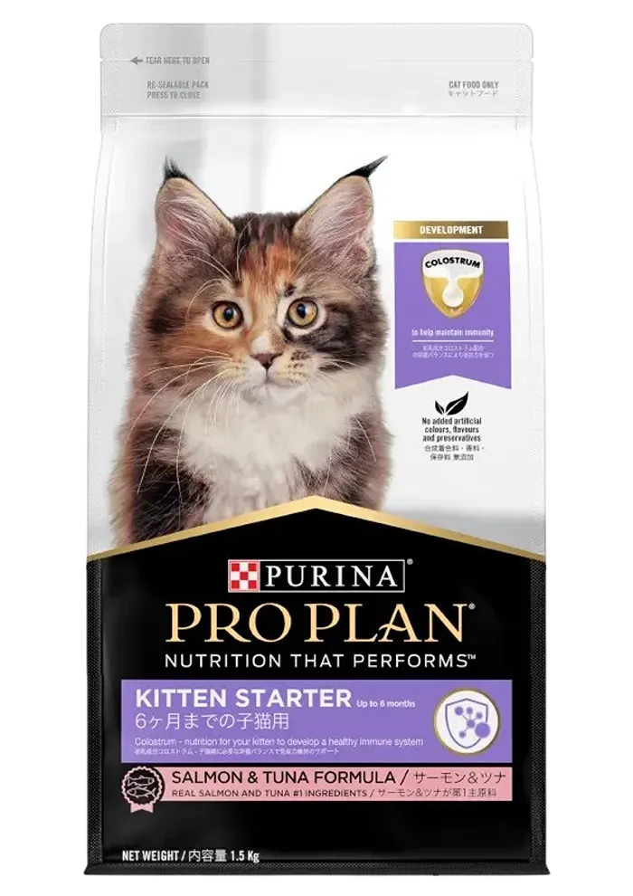 kitten starter salmon & tuna formula