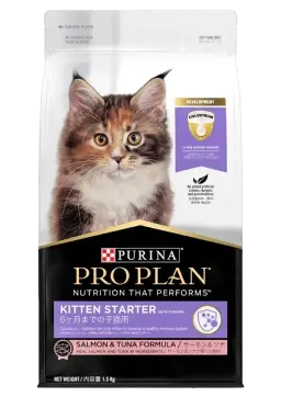 kitten starter salmon & tuna formula