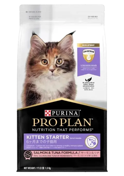 kitten starter salmon & tuna formula
