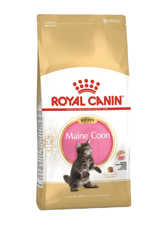 royal canin maine coon kitten