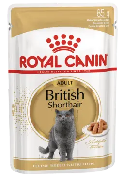 british shorthair gravy