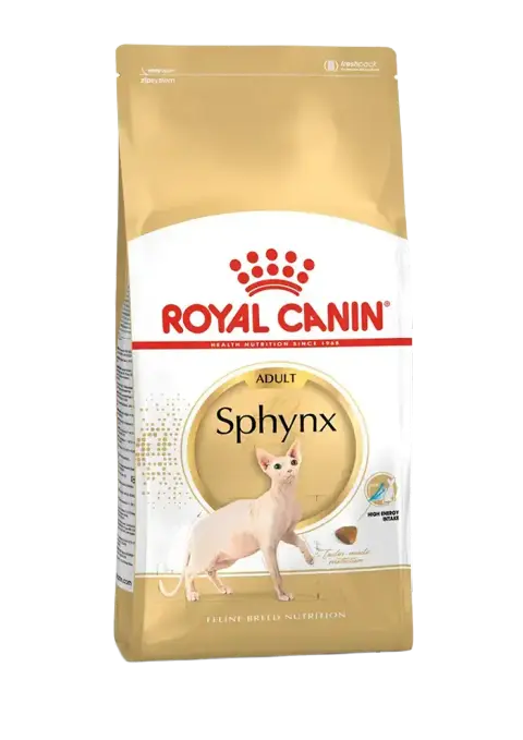 sphynx adult
