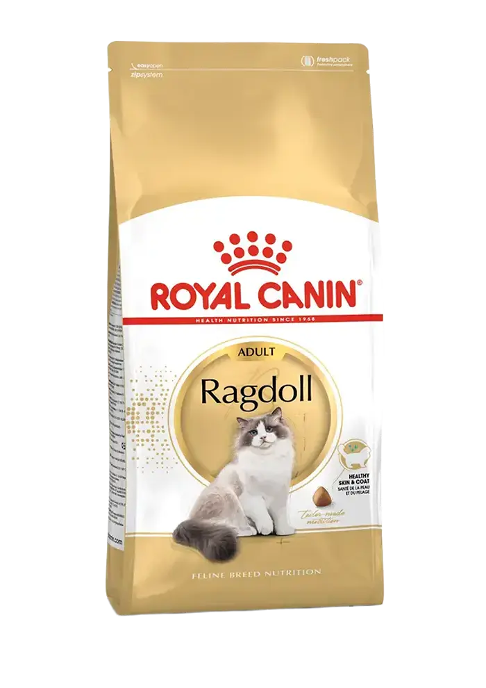royal canin ragdoll adult