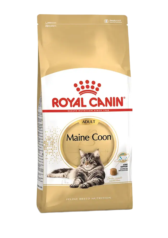 royal canin maine coon adult