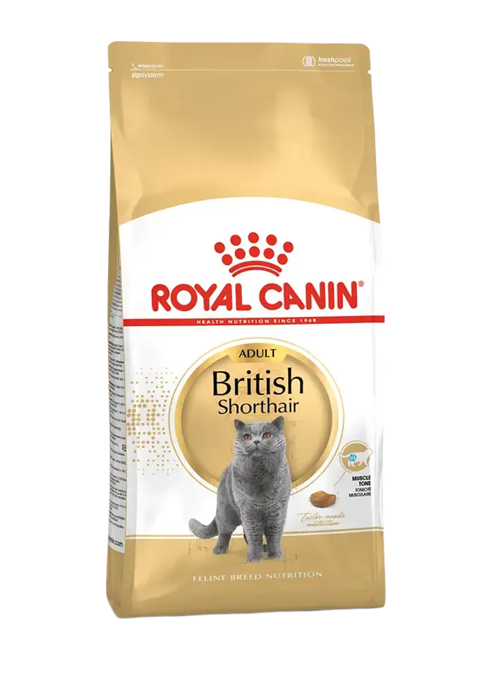 royal canin british shorthair adult