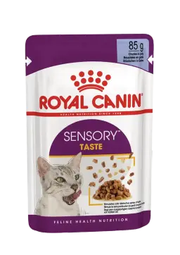 sensory taste chunks in jelly