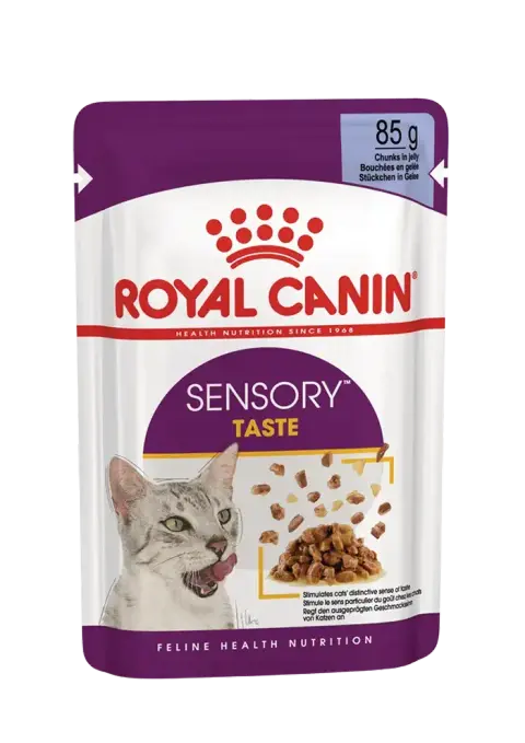 sensory taste chunks in jelly