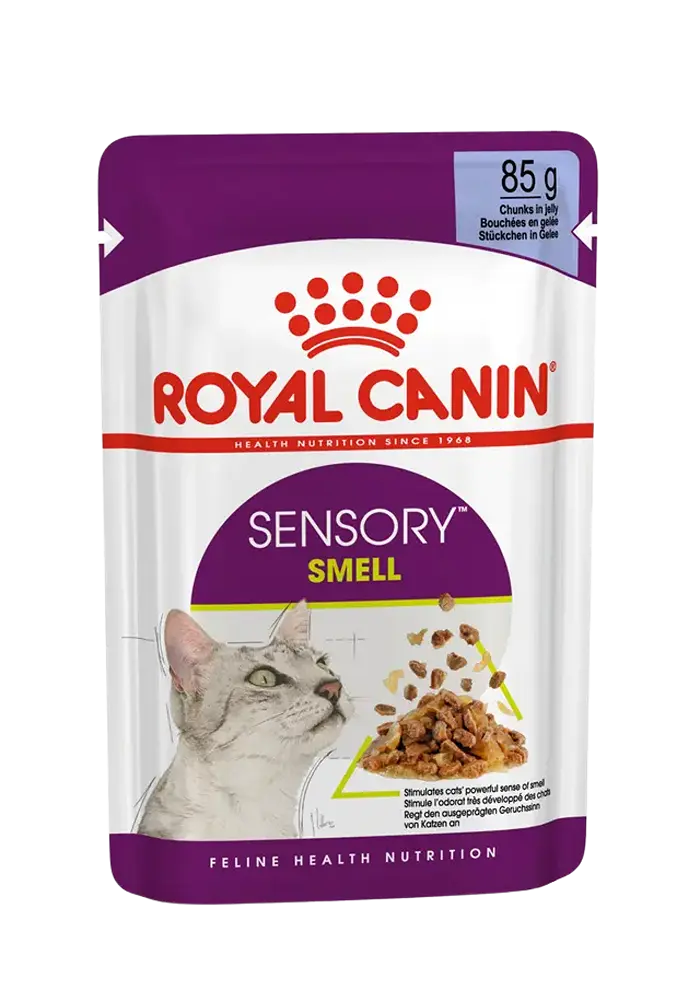 royal canin sensory smell chunks in jelly
