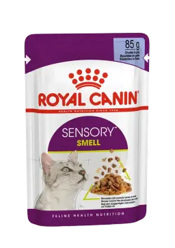 sensory smell chunks in jelly