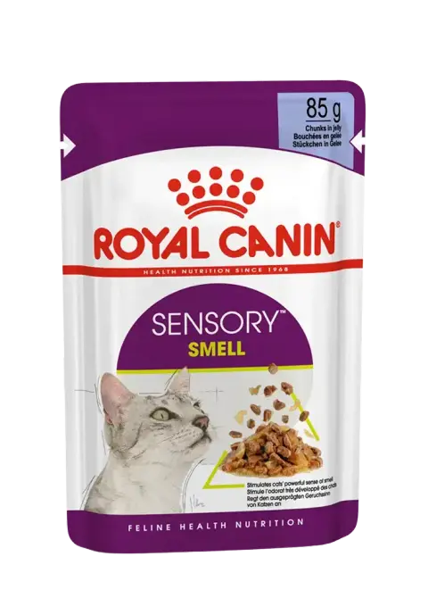 sensory smell chunks in jelly