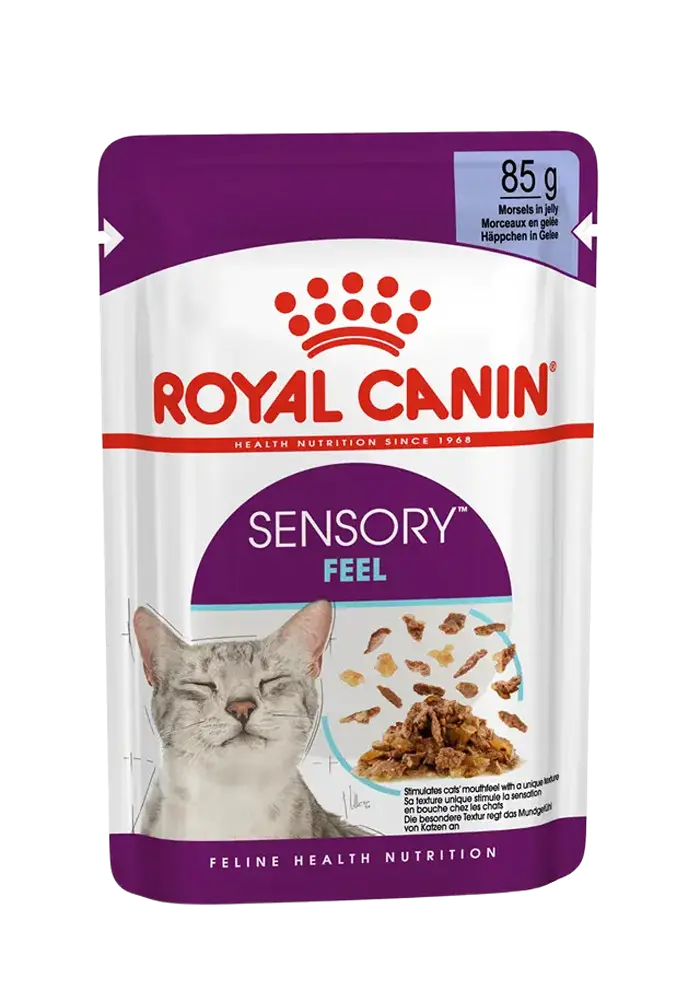 royal canin sensory feel morsels in jelly