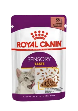sensory taste chunks in gravy
