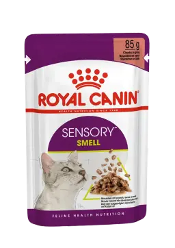 sensory smell chunks in gravy