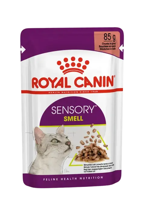 sensory smell chunks in gravy