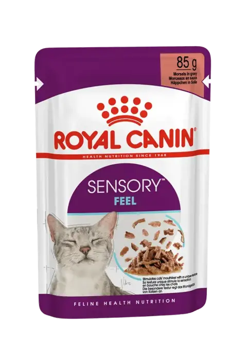 sensory feel morsels in gravy