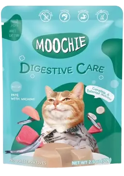 digestive care pate with anchovy