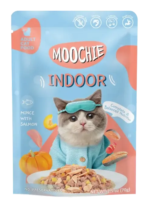 indoor mince with salmon