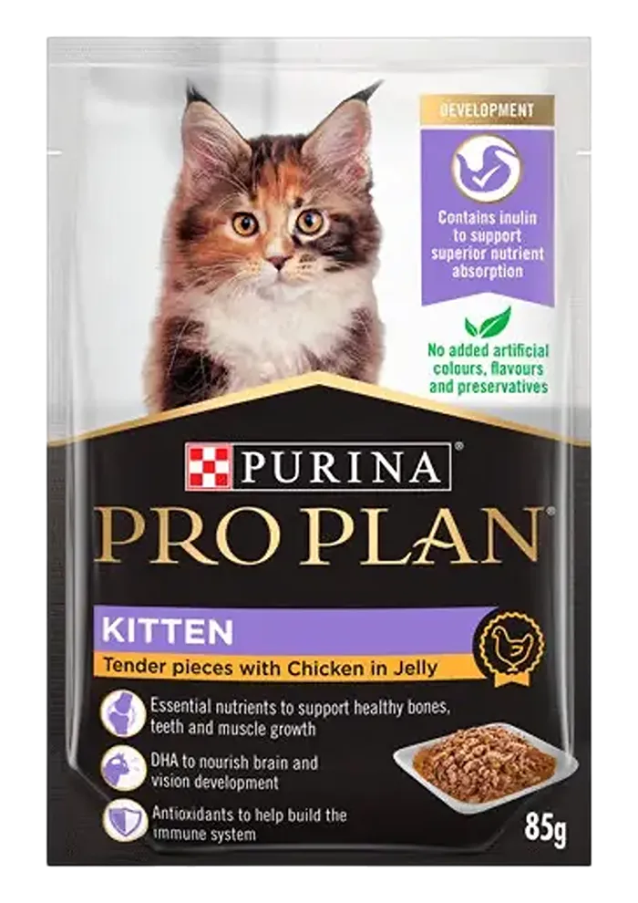 kitten tender pieces with chicken in gravy