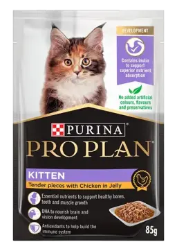kitten tender pieces with chicken in gravy