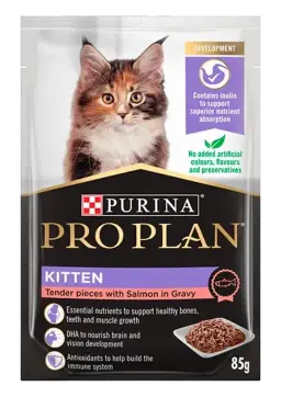 kitten tender pieces with salmon in gravy