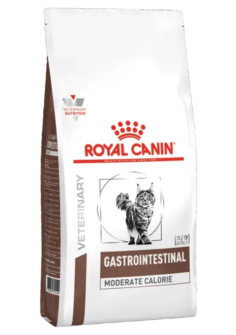 gastrointestinal moderate calorie
