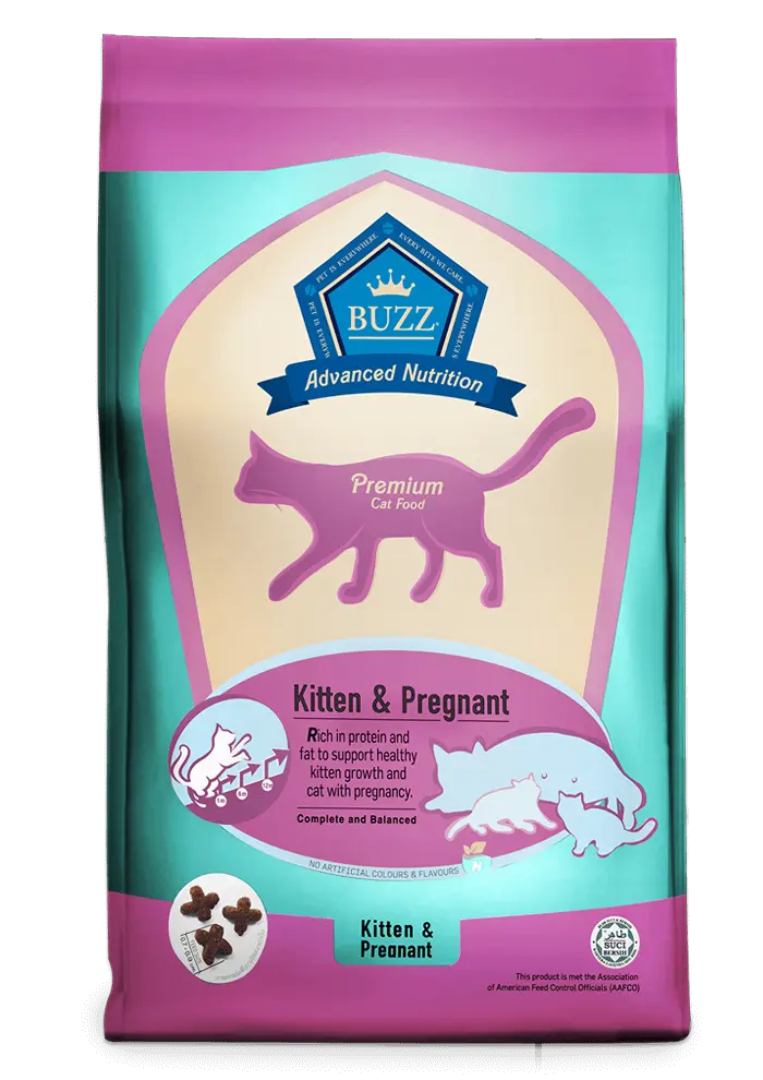 buzz advanced nutrition kitten & pregnant
