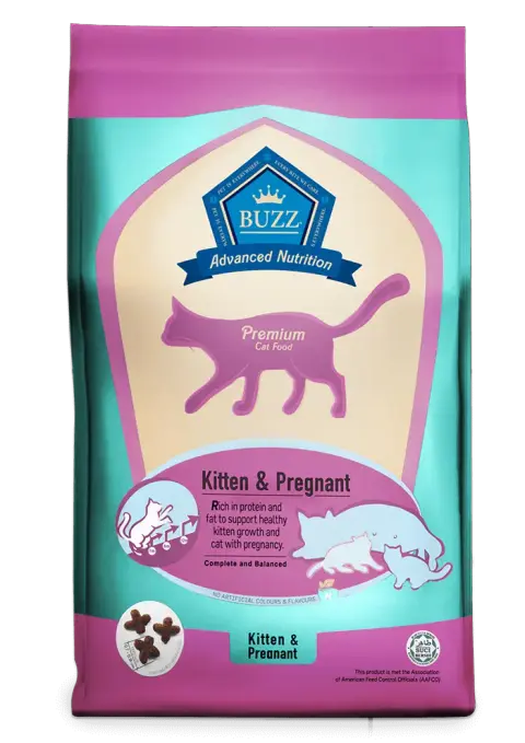 advanced nutrition kitten & pregnant
