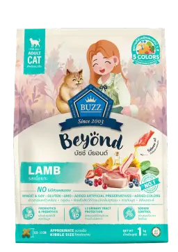 beyond lamb