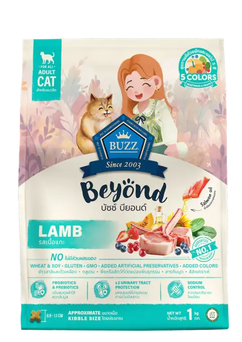 beyond lamb