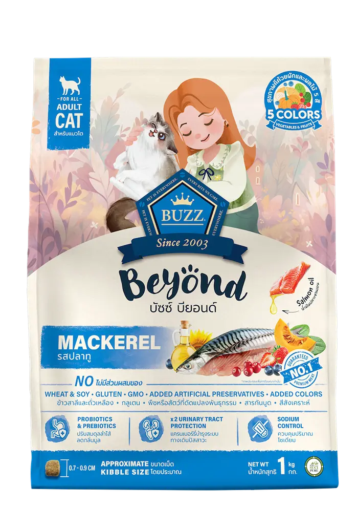 buzz beyond mackerel