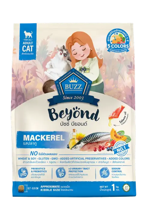 beyond mackerel