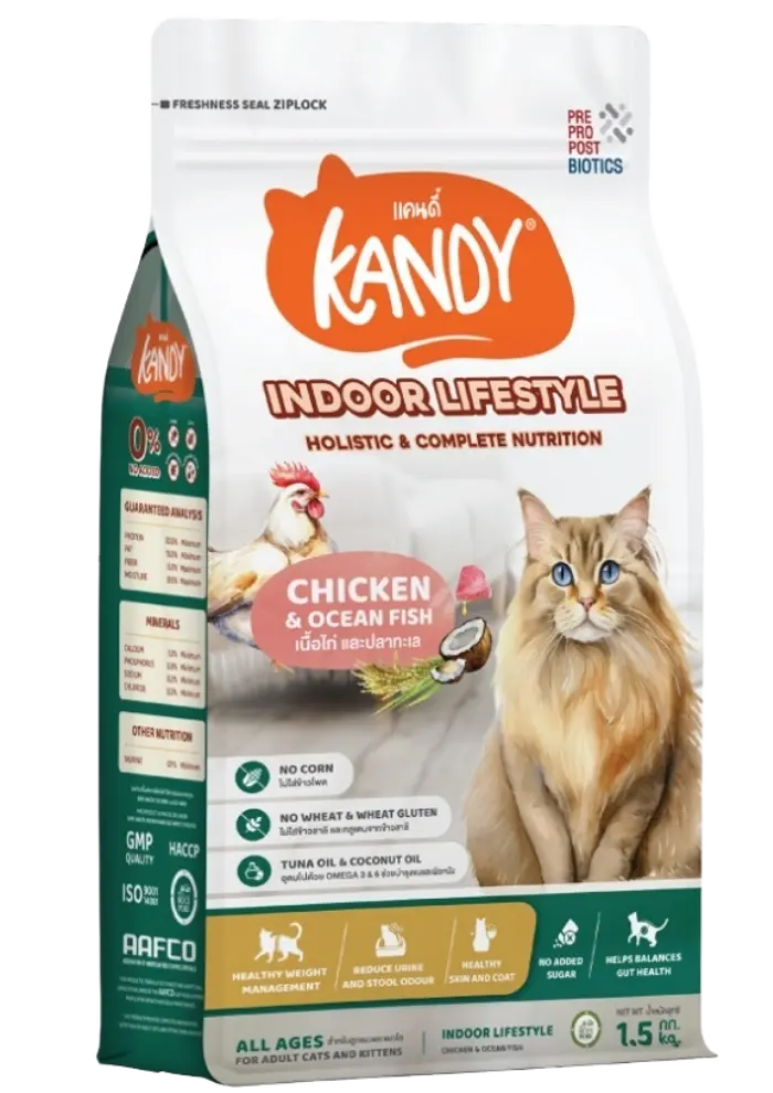 kandy indoor lifestyle