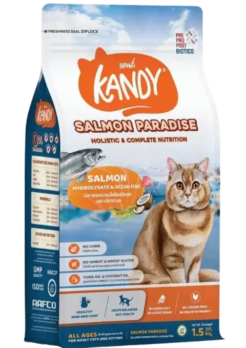 salmon paradise