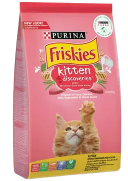 kitten discoveries