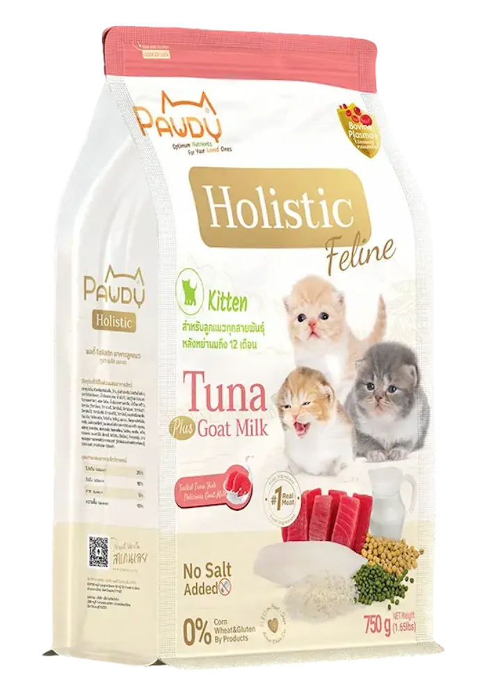 holistic feline kitten