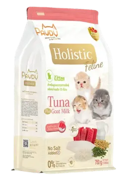 holistic feline kitten