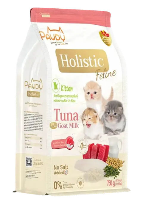 holistic feline kitten