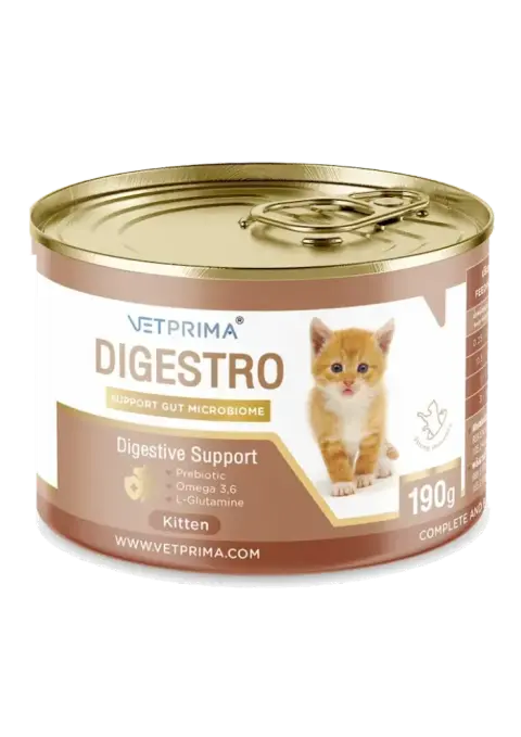 digestro digestive support kitten