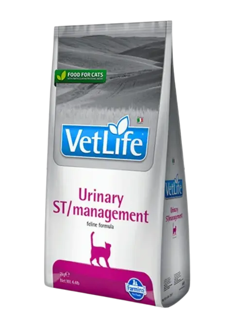 urinary st/management feline