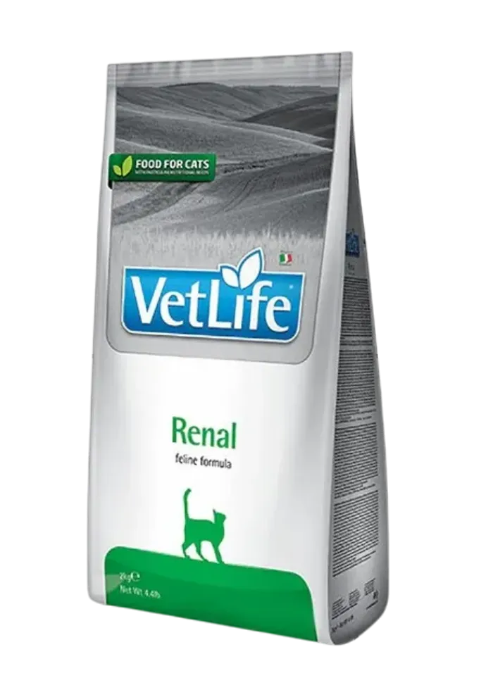 renal feline