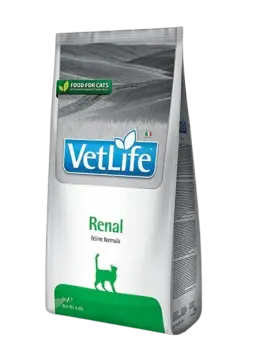 renal feline