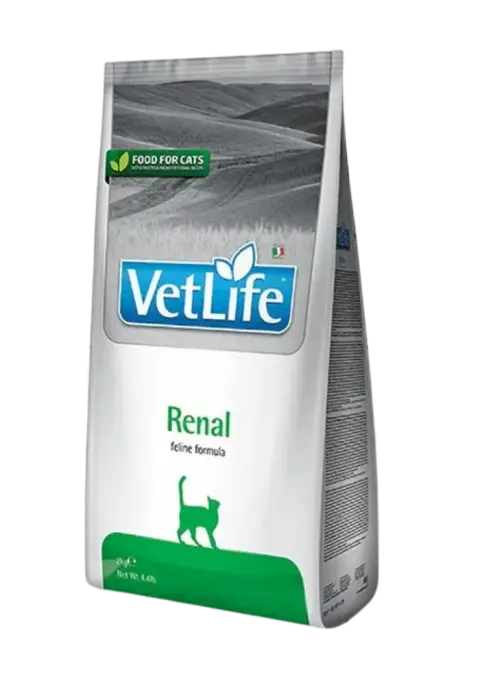 renal feline