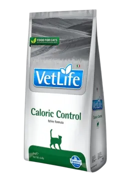 caloric control feline