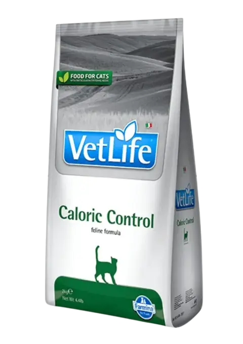 caloric control feline
