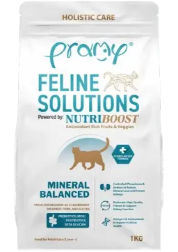 feline solutions mineral balanced