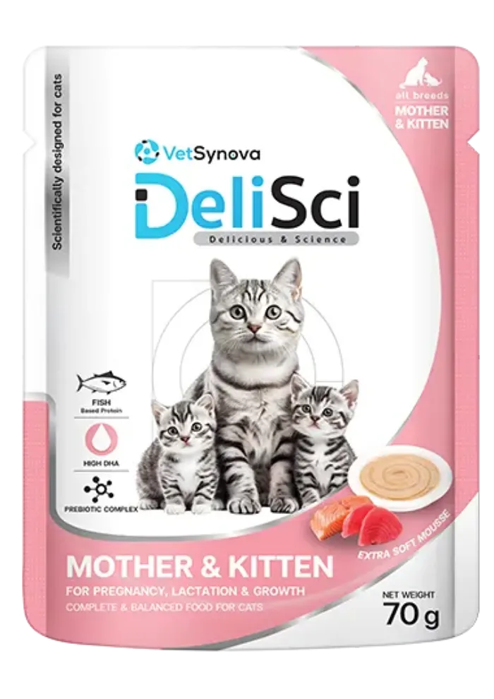 mother & kitten