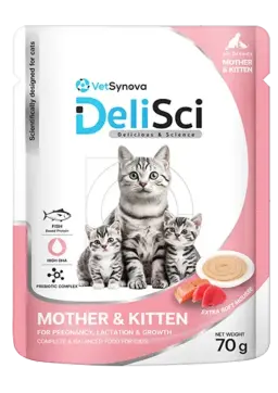 mother & kitten