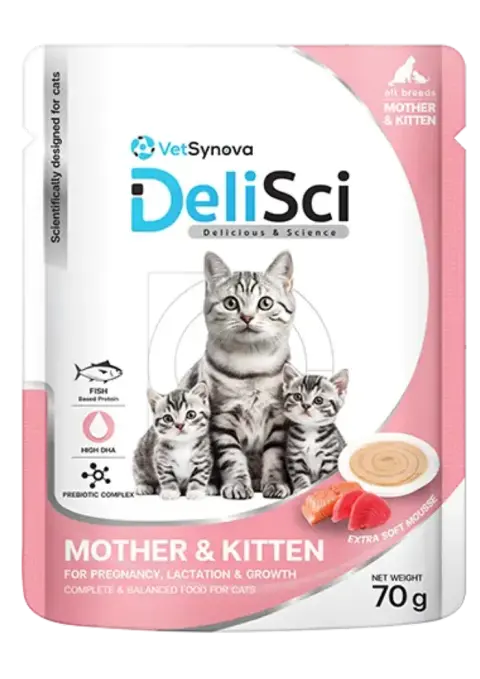mother & kitten