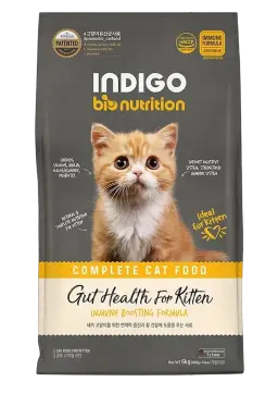 gut health for kitten
