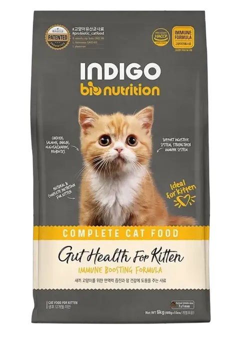 gut health for kitten